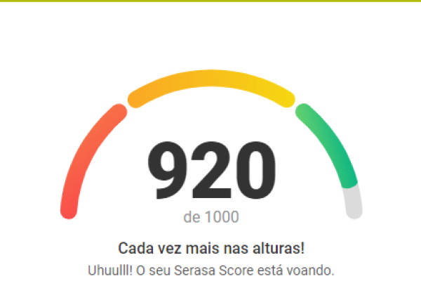 Serasa Score - Saiba como consultar e aumentar sua pontuação